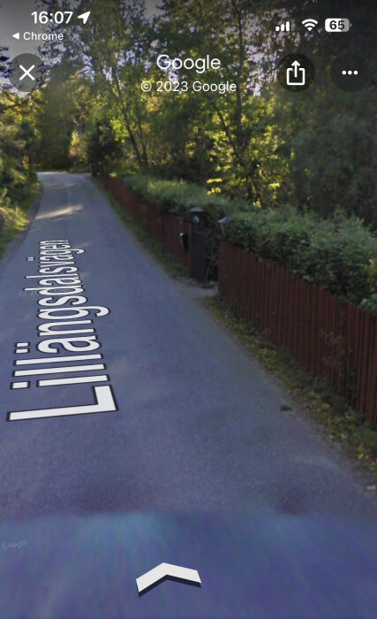 Skärmavbild av Google Street View visar en lugn väg omgiven av grönska och staket.