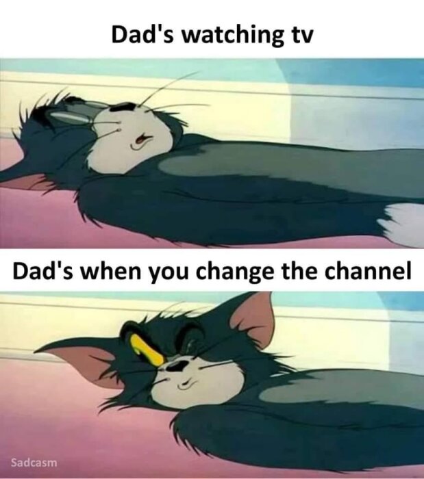 Två bilder på Tom från "Tom och Jerry", illustrerar en pappa som tittar och reagerar på TV.