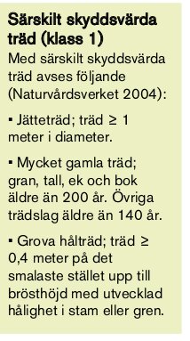 Innehållet listar kriterier för särskilt skyddsvärda träd, inklusive storlek och ålder, enligt Naturvårdsverket.