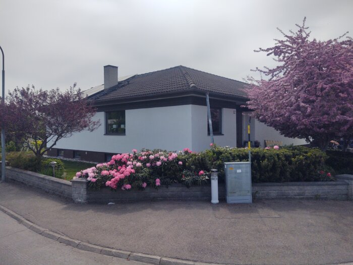 Hus med mörkt tak, blommande träd, rhododendronbuskar, grå himmel, postlåda, småfönster, gatuskylt.