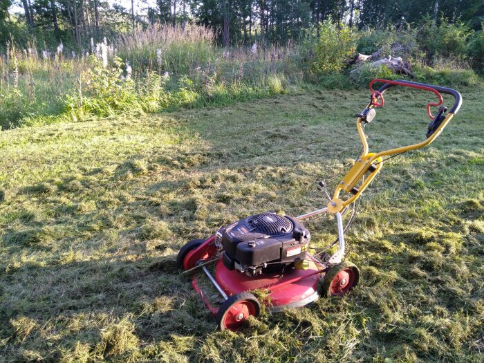 Gräsklippare på nyklippt gräs, mot skogsbryn, i solljus, med skuggor, utan människor.