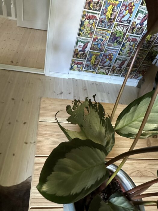 Inomhus, trägolv, dörr, serietidningsaffisch, krukväxt med skadade blad, blur-effekt, sneda perspektiv.