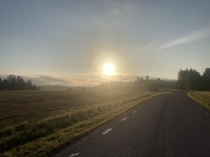 En landsväg genom ett öppet fält, soluppgång, dis i luften, träd i fjärran och klara himlar.
