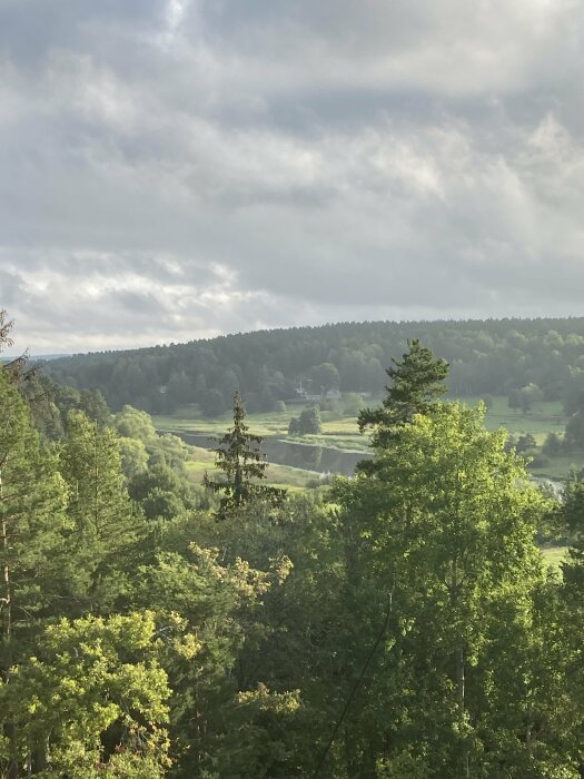 En grön skog med träd framför en flod, molnigt himmel och solljus som belyser delar av landskapet.