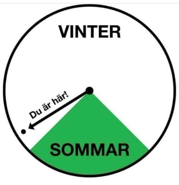 Cirkeldiagram: stor vit del märkt "VINTER", liten grön del "SOMMAR", pekare "Du är här". Humoristisk årstidsskildring.