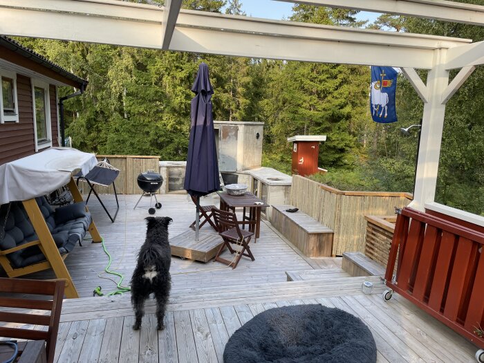 Träveranda med möbler, grill, hund och skogsbakgrund. Färgglad flagga vajar. Avkopplande utomhusmiljö vid hus.