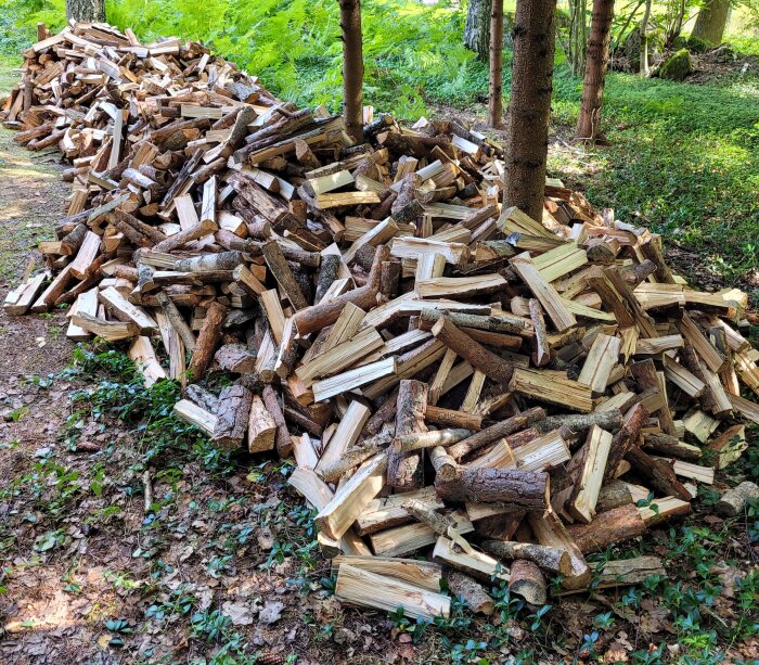 Stor hög med kapad ved i skog. Oordnad, blandade storlekar, färskt och gammalt trä. Naturbakgrund.