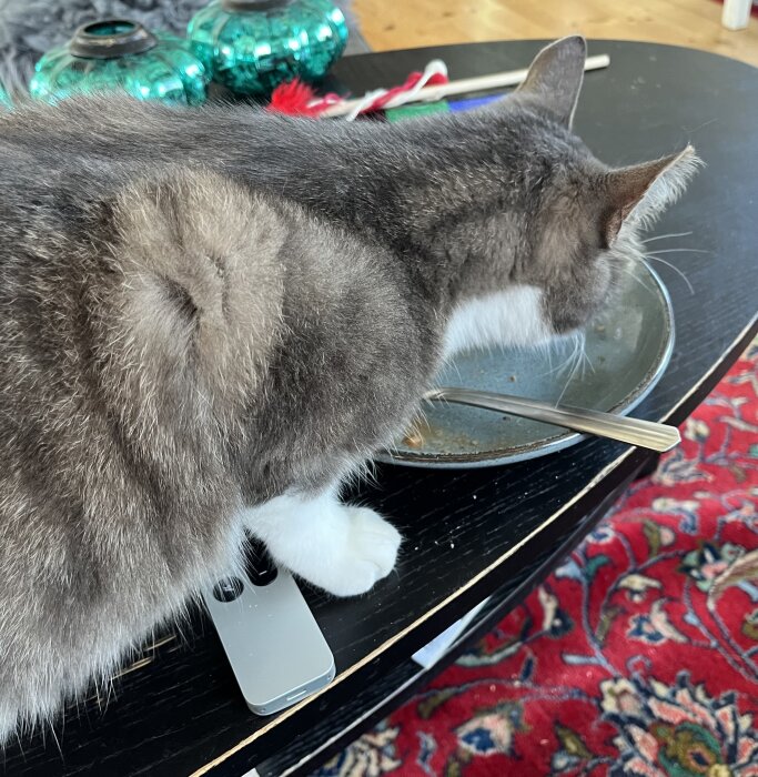 Gråvit katt vid en tom tallrik på svart bord, med en matsked och mobiltelefon.