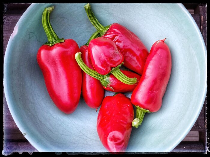 Röda jalapeños i en ljusblå skål på ett mörkt underlag.