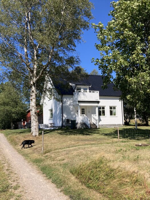 Ett vitt hus med svart tak, omgivet av gröna träd, klarblå himmel, en hund, och gräsmatta.