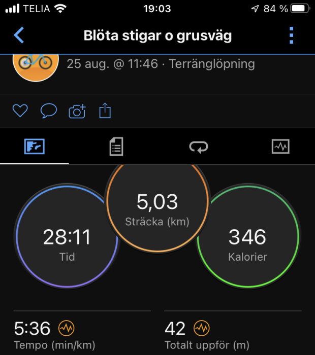 Skärmdump av aktivitetsspårare visar löpning på 5,03 km, tid 28:11, kaloriförbrukning 346, tempo och höjd.