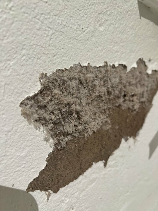 Slitet lager av vit färg som exponerar grå underliggande puts på en vägg.
