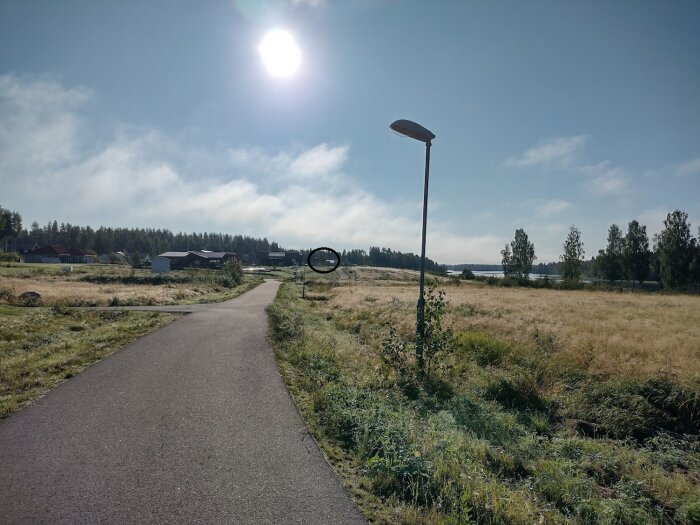 Asfalterad gångväg, gatlykta, torrt gräs, träd, hus i avstånd, klar himmel, dagsljus.