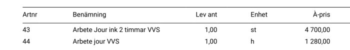 Tabell med två rader tjänster: jourarbete med VVS, inkluderat antal, enhet, pris.