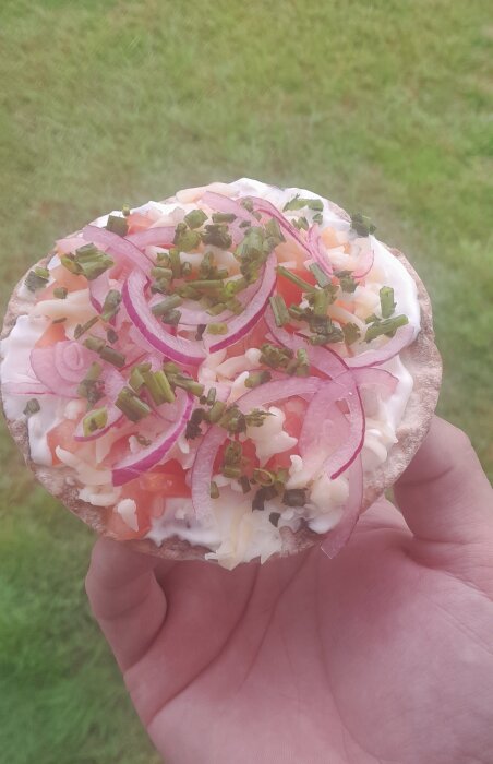 En hand håller en knäckebrödsmacka med ost, rödlök, gräslök och tomatskivor. Bakgrund av gräs.