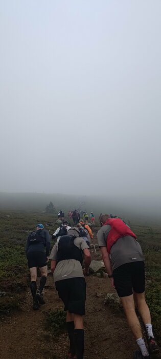 Vandrare i dimma på en slingrande stig i bergsterräng.