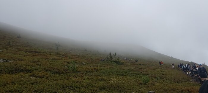 Vandrare i dimmigt bergslandskap med låga buskar, delvis dolt av dimma.