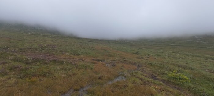 Dimmigt fjällandskap, vått underlag, grönt gräs, låg molnighet, öde natur, dyster atmosfär.