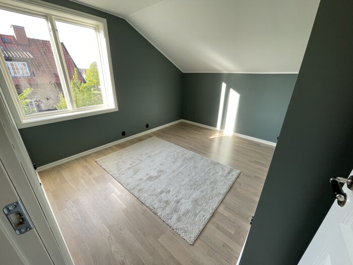 Tomt rum med trägolv, gröna väggar, fönster och en beige matta.