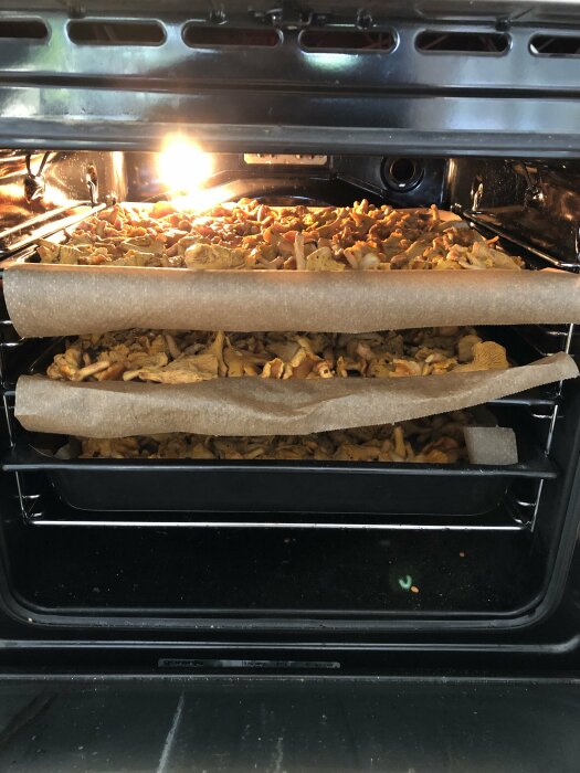 Två ugnsgaller med torkande svampar på bakplåtspapper i en öppen ugn.