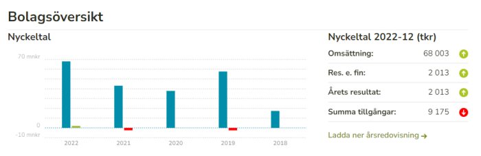 Företagsöversikt, stolpdiagram 2018-2022, ekonomiska nyckeltal, omsättning, resultat, varierande prestanda, positiva och negativa värden.