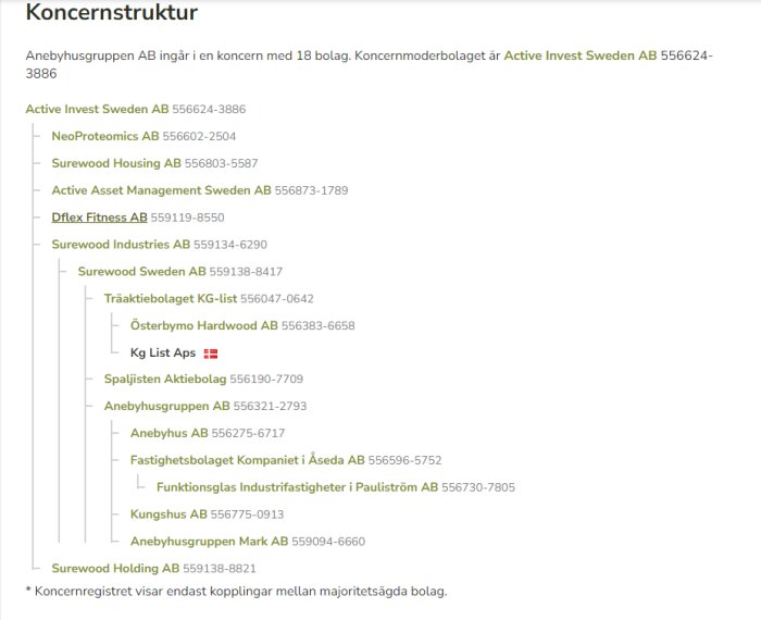 Diagram över en koncernstruktur med moderbolag och dotterbolag, organisationsschema, svenska företagsnamn och organisationsnummer.