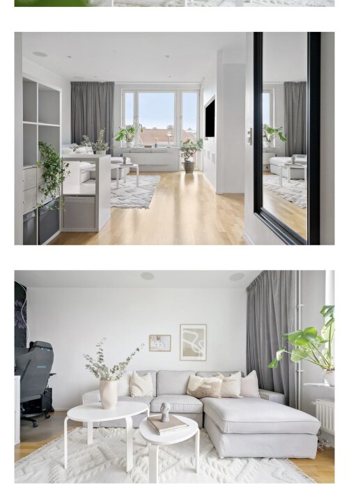 Luftig, modern lägenhet med vardagsrum, vita väggar, möbler i mjuka färger, trägolv, växter och spegelbild.