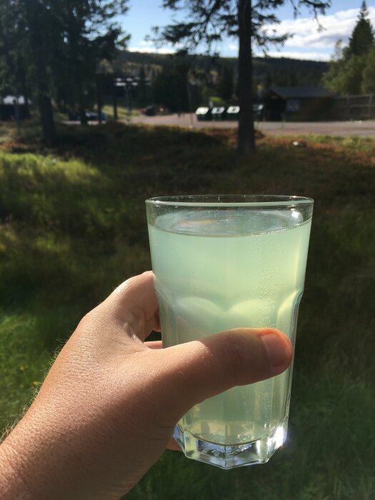 Hand håller glas med klar vätska mot en solig naturscen med träd och parkerade bilar.