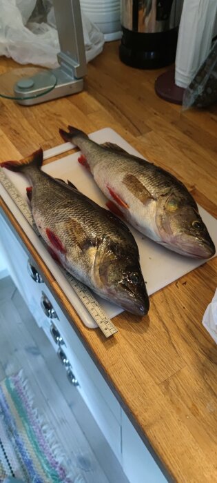 Två fiskar på skärbräda, inomhus, mäts, köksmiljö, trägolv, förbereds för matlagning.