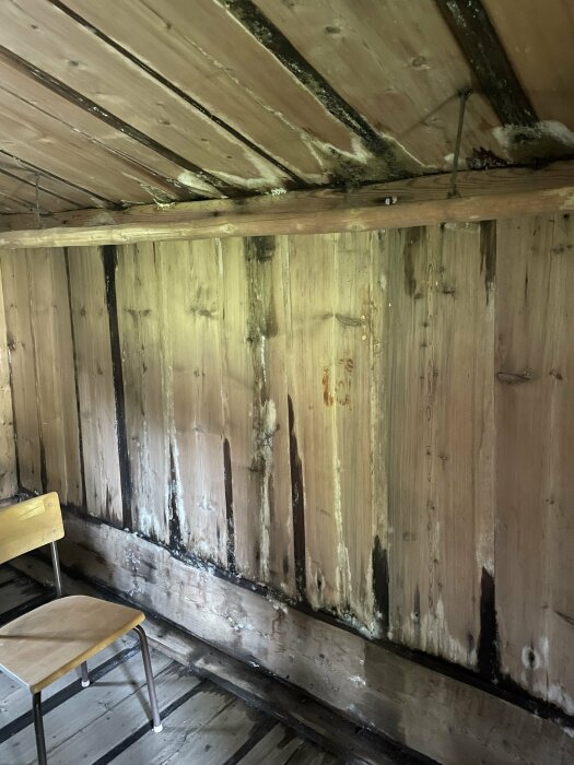 Träväggar och tak med mögelskador, mörka fläckar, fuktproblem, en liten stol nära väggen.