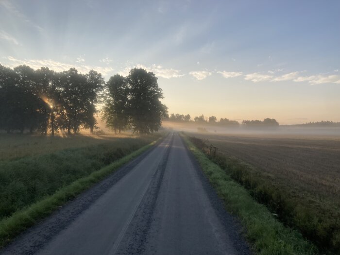 Lantväg vid gryning, dimma över fält, solstrålar genom träd, stillhet, orörd natur.