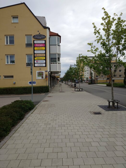 Stadsgata med trottoar, träd och affärsskyltar på byggnad under molnig himmel.