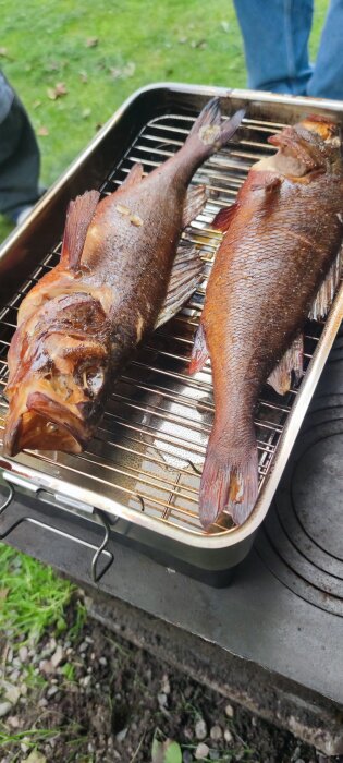 Två grillade fiskar på en stålbricka, utomhus med gräs i bakgrunden.