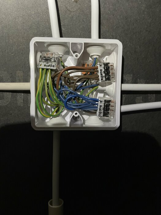 En öppen elektrisk anslutningsdosa med flera kablar och wire terminals i en grå bakgrund.
