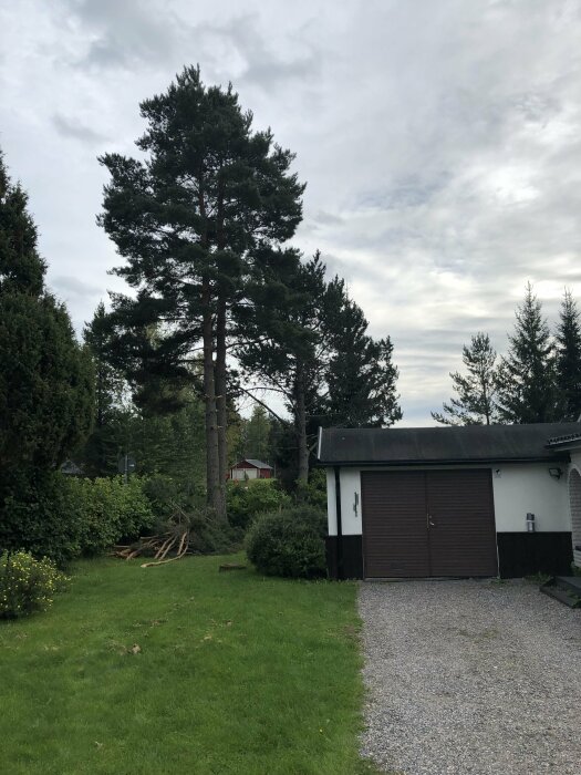 Grå himmel, barrträd, garagedel av hus, gräsmatta och grusväg i ett bostadsområde. Nedfallna grenar syns.