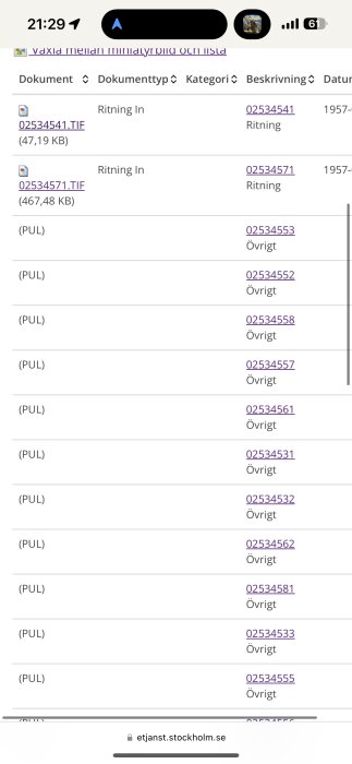 Skärmdump visar dokumentlista, TIFF-filer, rubriker "Dokumenttyp", "Kategori", "Beskrivning", "Datum", e-postadress nedtill.