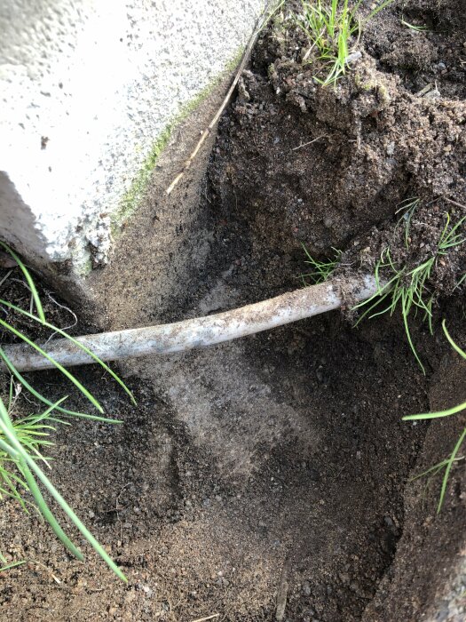 En gammal rostig spik sticker ut ur marken vid en betongkant omgiven av jord och gräs.