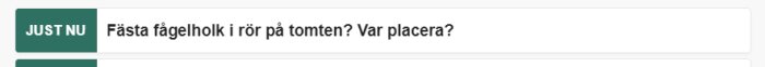 Skärmdump av text: "Fästa fågelholk i rör på tomten? Var placera?" med "JUST NU" etikett.