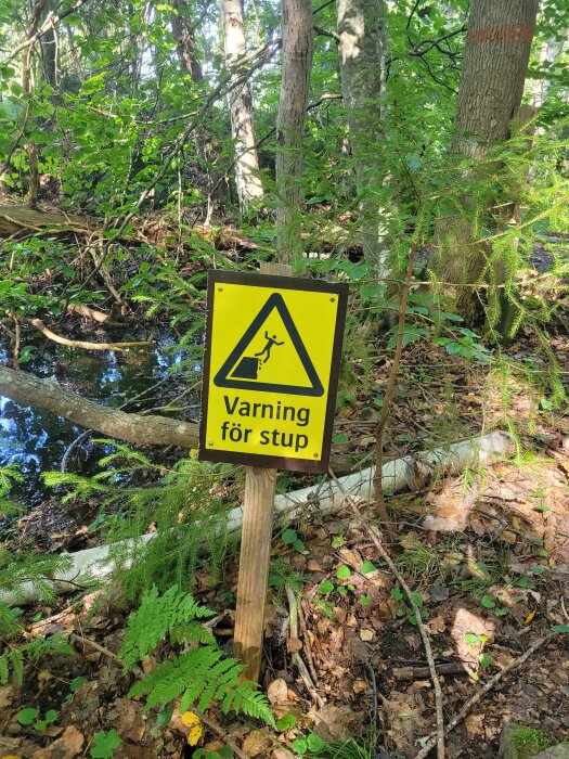 Gul skylt med varning för stup, i skog bredvid vattensamling och grönska.