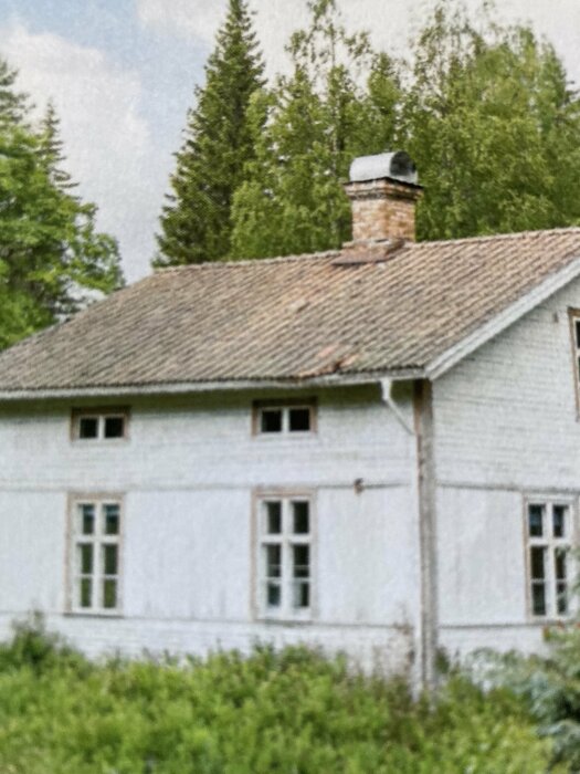 Vitt hus med skorsten, fönster, omgivet av träd och grönska.