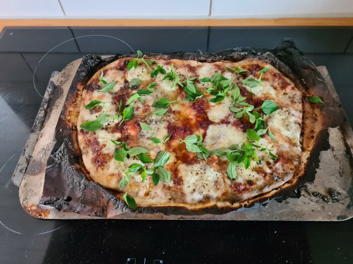 En pizza som har bränts fast i ugnen, garnerad med färska örter, presenteras på ett svart spis.