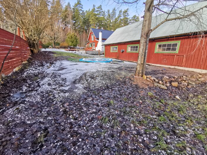 Blöt, lerig gård med smältande snö, röda byggnader, barrträd, grå himmel och en röd husbakgrund.