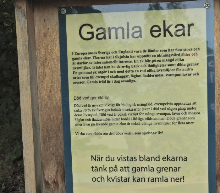 Skylt om bevarande av gamla ekar, biologisk mångfald, vikten av död ved, säkerhetstips för besökare.