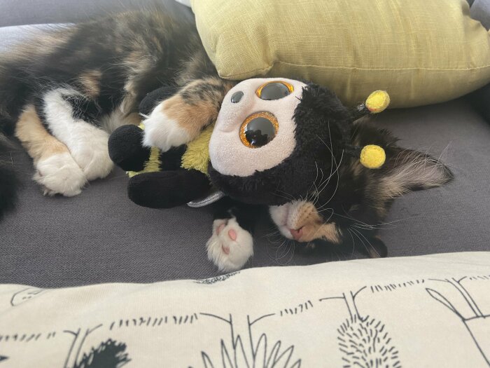 Kelig kattunge sover bredvid en plyschleksak på en grå soffa.