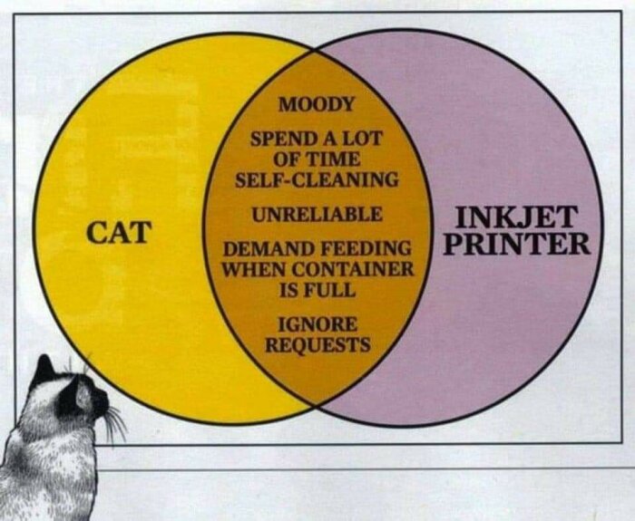 Humoristisk Venn-diagram jämför egenskaper hos katter och bläckstråleskrivare; katt observerar; gemensamma egenskaper i mitten.