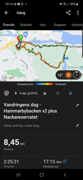 Skärmdump av aktivitetslogg visar vandringsväg, distans, tid, tempo i Nackareservatet.