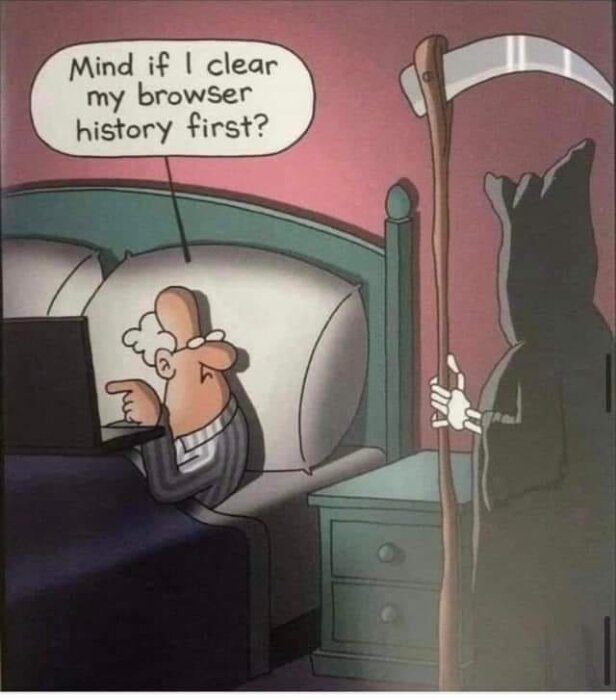 Tecknad bild: person vid dator frågar Döden om att radera webbhistorik först. Humoristisk, mörkt tema.