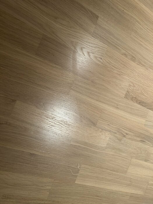 IMG_1689.jpeg