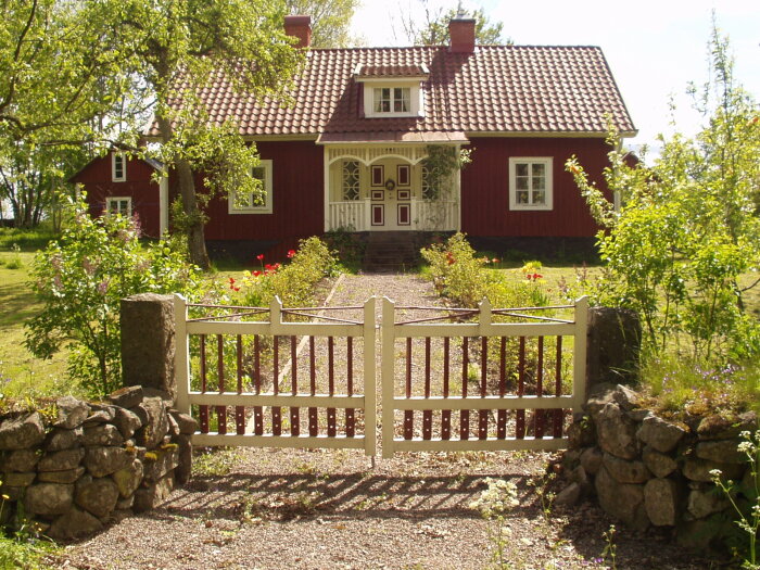 Röd svensk stuga med vita knutar, traditionell, lummig trädgård, stenmur, öppet grindstaket, sommarsol.