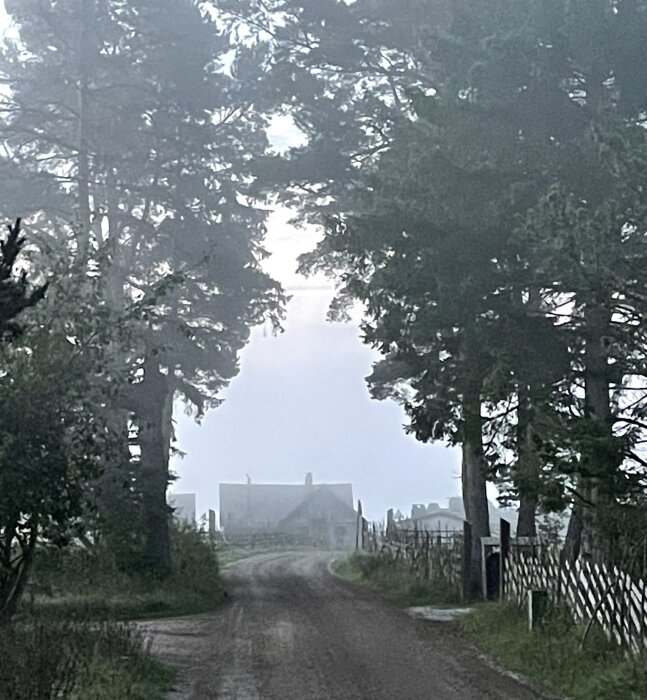 Dimmig grusväg leder fram till lantgård omgiven av träd och staket. Stämningsfull, gråtonad och mystisk atmosfär.